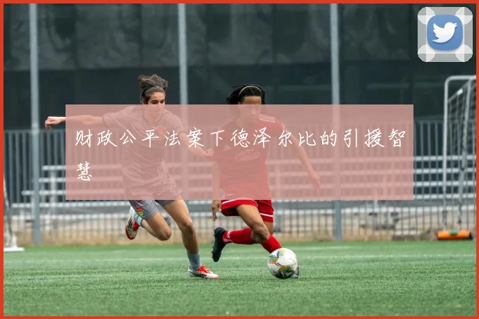 财政公平法案下德泽尔比的引援智慧