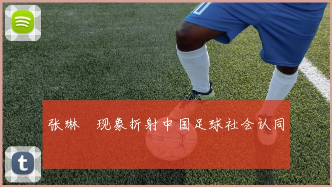张琳芃现象折射中国足球社会认同