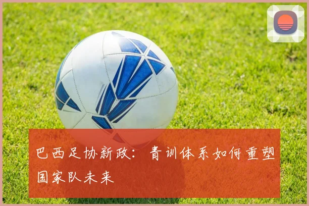 巴西足协新政：青训体系如何重塑国家队未来